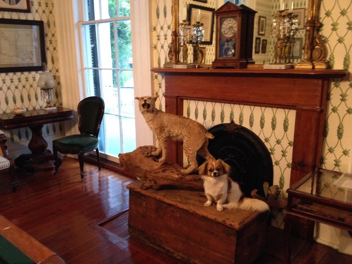Stone House Musical B&B Natchez Εξωτερικό φωτογραφία