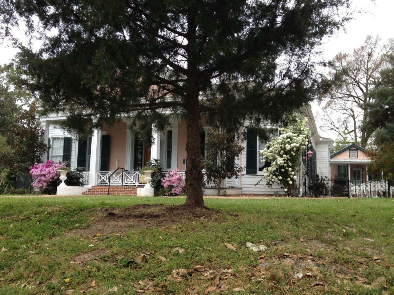 Stone House Musical B&B Natchez Εξωτερικό φωτογραφία
